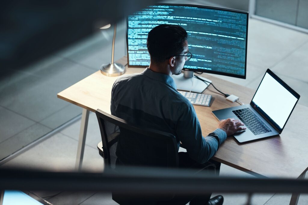 IT strategy consultants looking at data on a computer